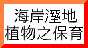 �����æa�Ӫ����O�|